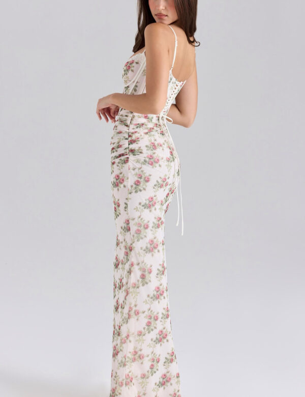 Rose Print Mesh Maxi